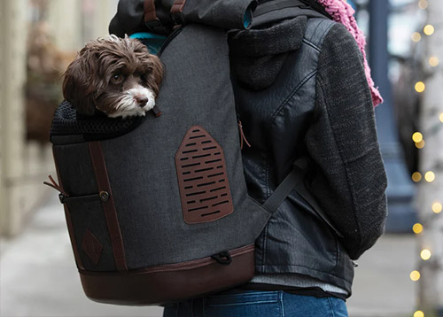 sac à dos de transport pour chien